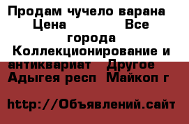 Продам чучело варана › Цена ­ 15 000 - Все города Коллекционирование и антиквариат » Другое   . Адыгея респ.,Майкоп г.